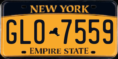 NY license plate GLO7559