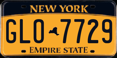 NY license plate GLO7729