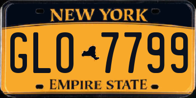 NY license plate GLO7799