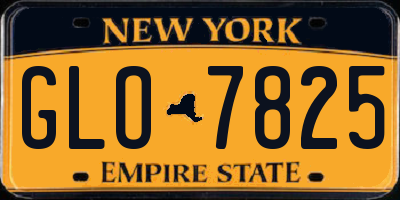 NY license plate GLO7825