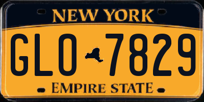 NY license plate GLO7829