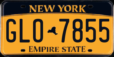 NY license plate GLO7855