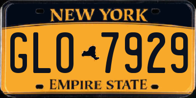 NY license plate GLO7929