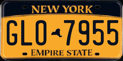 NY license plate GLO7955