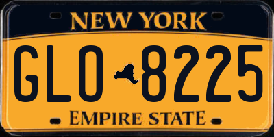 NY license plate GLO8225