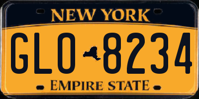 NY license plate GLO8234