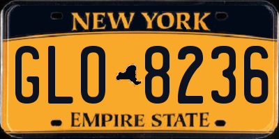 NY license plate GLO8236