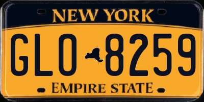 NY license plate GLO8259