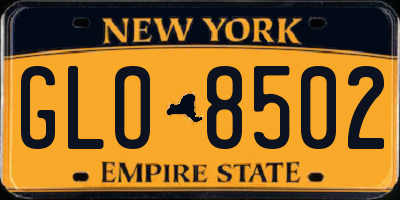 NY license plate GLO8502