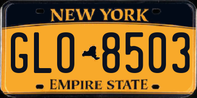 NY license plate GLO8503