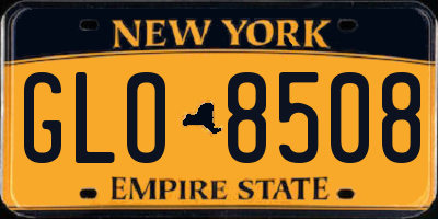 NY license plate GLO8508