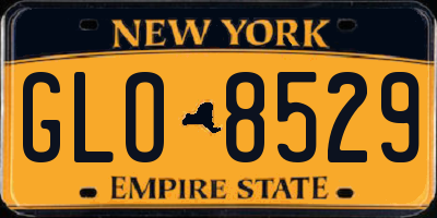 NY license plate GLO8529