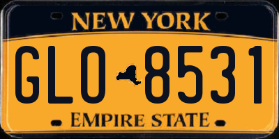 NY license plate GLO8531