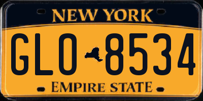 NY license plate GLO8534