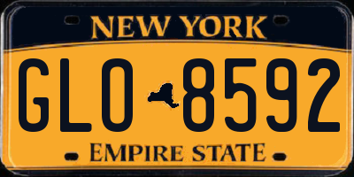NY license plate GLO8592