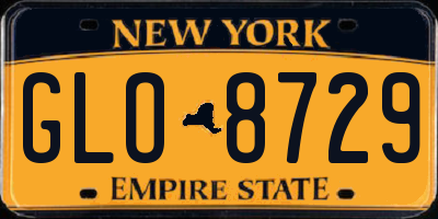 NY license plate GLO8729