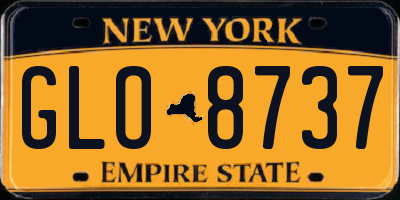 NY license plate GLO8737