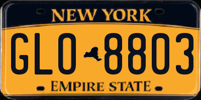 NY license plate GLO8803