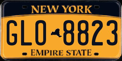NY license plate GLO8823