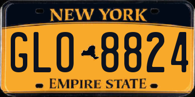 NY license plate GLO8824