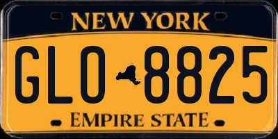 NY license plate GLO8825