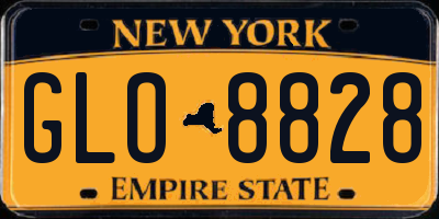 NY license plate GLO8828
