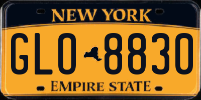 NY license plate GLO8830