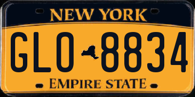 NY license plate GLO8834
