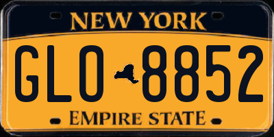 NY license plate GLO8852