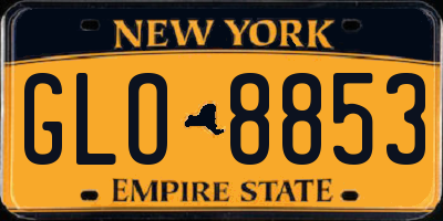 NY license plate GLO8853