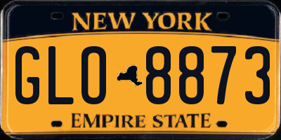 NY license plate GLO8873