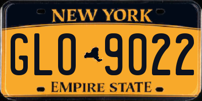 NY license plate GLO9022