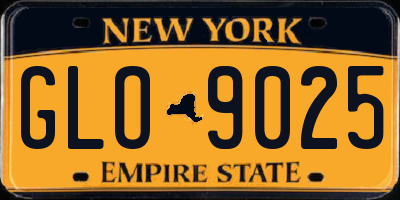 NY license plate GLO9025