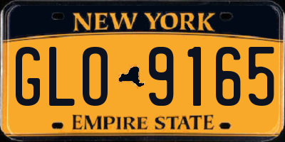 NY license plate GLO9165