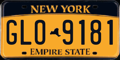 NY license plate GLO9181