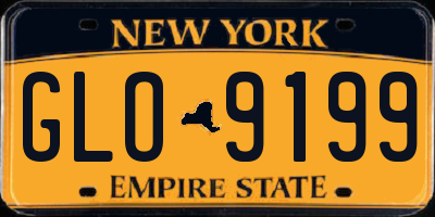 NY license plate GLO9199