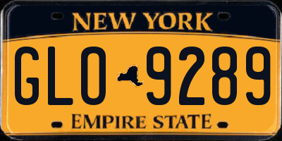 NY license plate GLO9289
