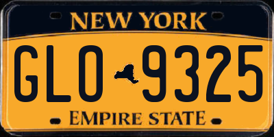 NY license plate GLO9325