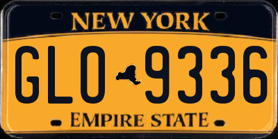 NY license plate GLO9336
