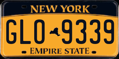 NY license plate GLO9339