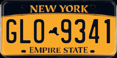 NY license plate GLO9341