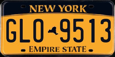 NY license plate GLO9513