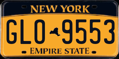 NY license plate GLO9553