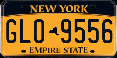 NY license plate GLO9556