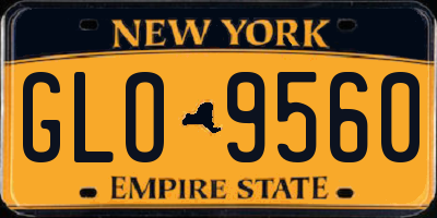 NY license plate GLO9560