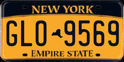 NY license plate GLO9569