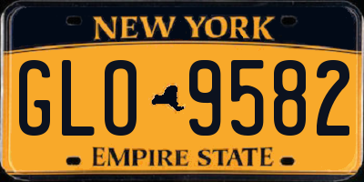 NY license plate GLO9582