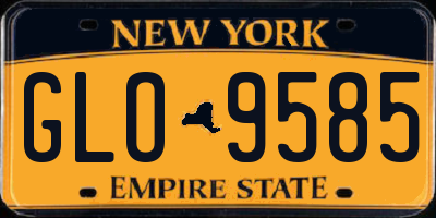 NY license plate GLO9585