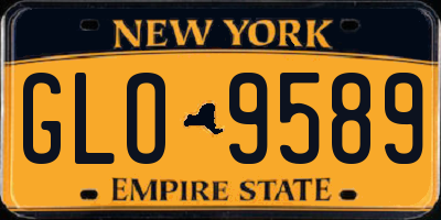 NY license plate GLO9589