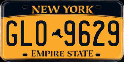 NY license plate GLO9629